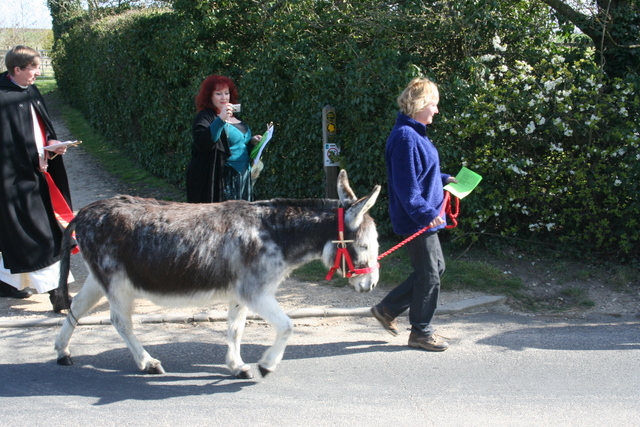 Donkey on Palm Sunday March